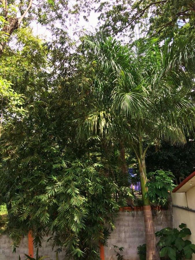 بالينكو Lunas Apartment المظهر الخارجي الصورة